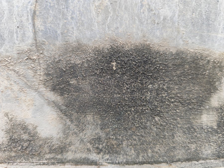 grunge cement wall texture background, grunge cement wall backgroundの写真素材