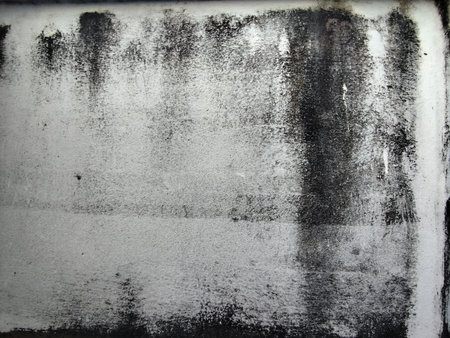 Grunge concrete wall texture. Abstract background and texture for design.の写真素材