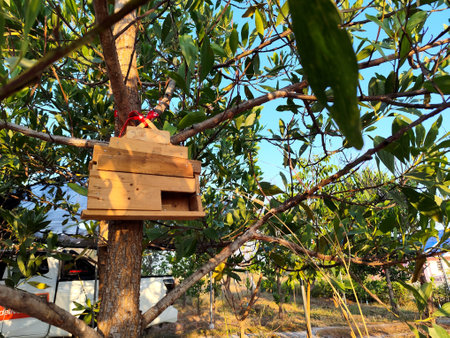 Birdhouse on the tree. Bird feeder on the tree.の写真素材