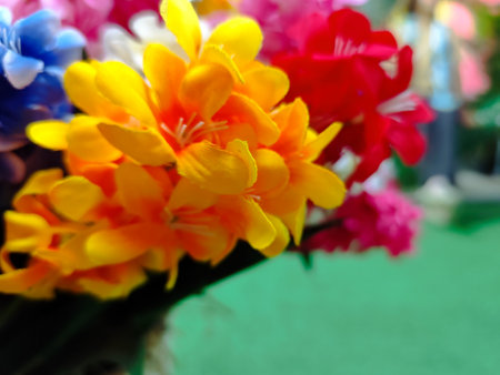 Close up of colorful freesia flowers in a vase.の写真素材