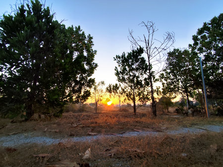 sunset in the countryside, closeup of photo with soft focusの写真素材