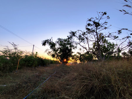 sunset in the countryside, north chiangmai, Thailandの写真素材