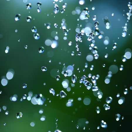 particles of water on green