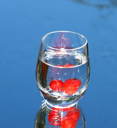 vodka with cranberriesの写真素材