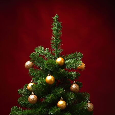 christmas tree, red backgroundの写真素材