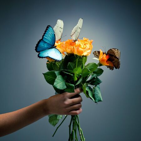 bouquet of roses and butterfly on itの写真素材