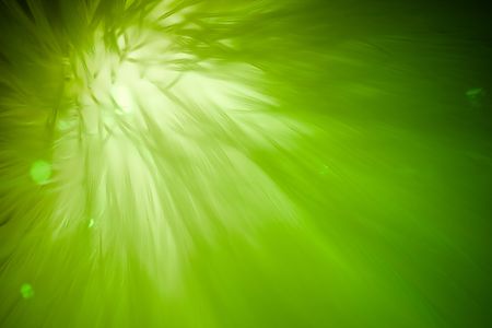 abstract green backgroundの写真素材
