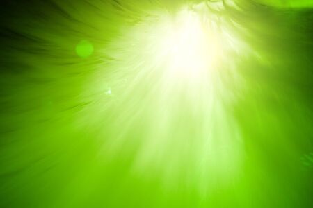 green light backgroundの写真素材