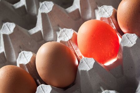 illuminated egg in group with normal eggsの写真素材