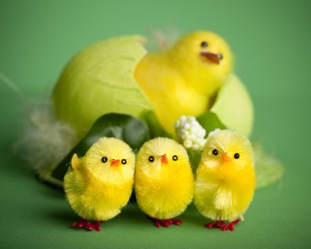 decorative easter chickensの写真素材