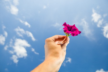 hand holding flower, sky backgroundの写真素材