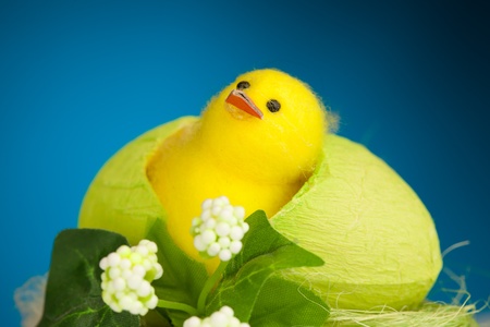 decorative easter chicken on blue background
