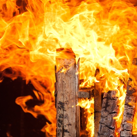 burning logs