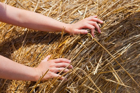 hands pushing on hay baleの写真素材