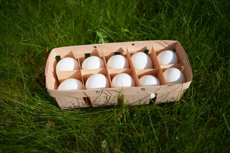 eggs in a wicker basket, green grass background