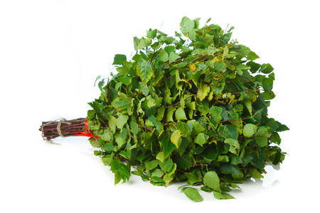 bunch of green birch twigs in hand isolated on whiteの写真素材