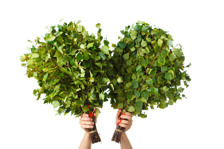 bunch of green birch twigs in hands isolated on whiteの写真素材