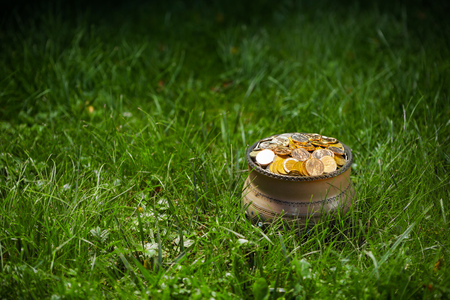 pot with golden coins, green grass backgroundの写真素材