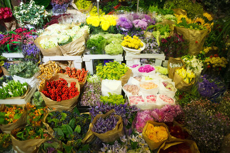 multitude of color flowers at the wholesale marketの写真素材