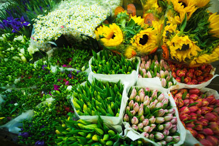 multitude of color flowers at the wholesale marketの写真素材