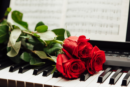 red roses on piano keys and music bookの写真素材