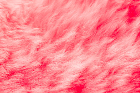 natural pink fur backgroundの写真素材