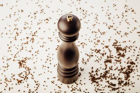 pepper mill and peppercorns, white backgroundの写真素材