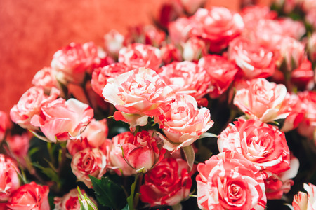 pink roses bouquet, closeup viewの写真素材