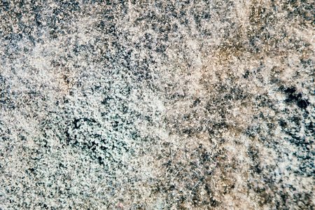natural mold texture, abstract backgroundの写真素材