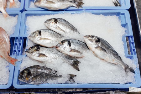 dorado fish on ice tray