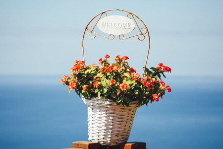 flowers basket with Welcome title, blue sea backgroundの写真素材