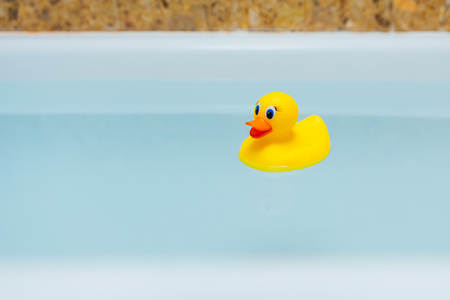 yellow rubber duck in blue water of bathtubの写真素材