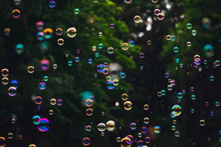 soap bubbles on green nature backgroundの写真素材