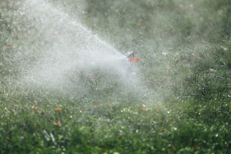 working lawn sprinkler spraying water over green grassの写真素材