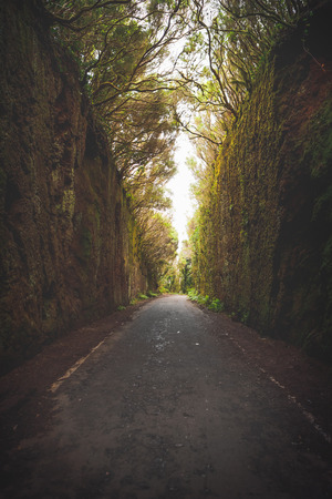 Mirador Pico del Ingles path in Anaga rural parkの写真素材