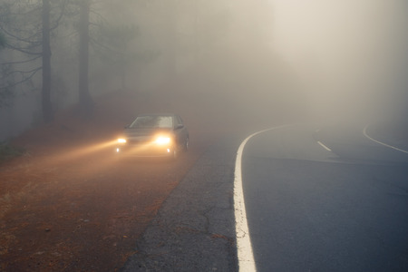 dense mist forest road and car on the roadside with light beamsの写真素材