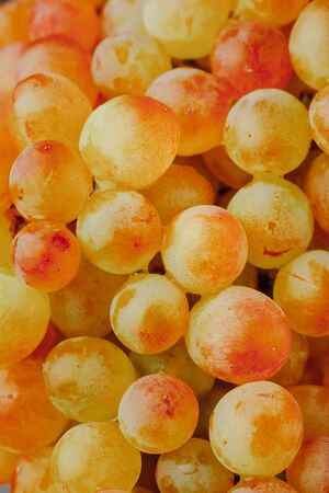 grapes vine background, close-up viewの写真素材