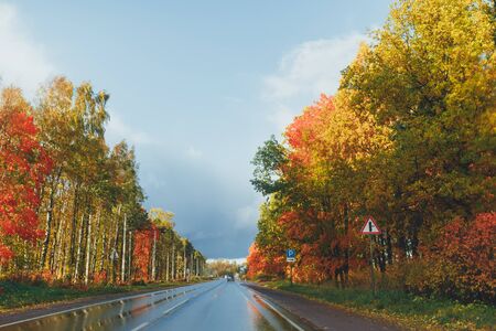 wet highway and autumn trees with colorful foliageの写真素材