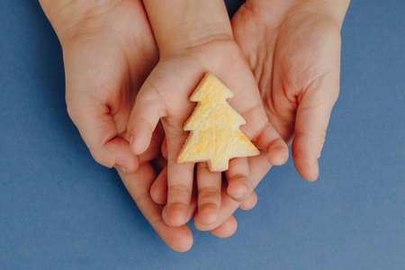mother and child holding a Christmas tree cookie in hands, blue paper backgroundの写真素材