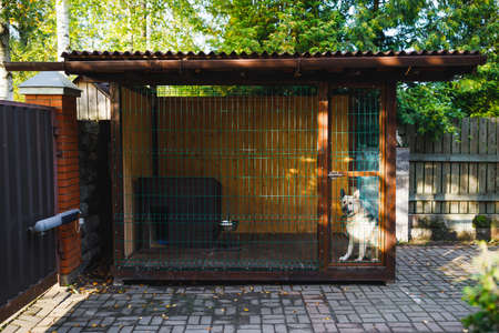 outdoor dog kennel enclosure on front yard