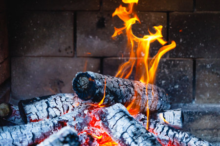burning fire logs in fireplaceの写真素材
