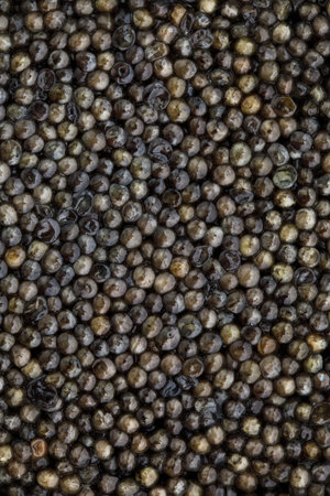 black caviar background, close-up view