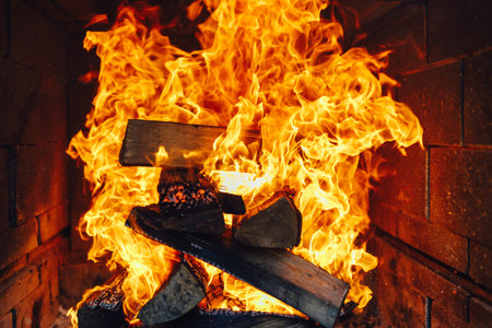 burning fire wooden logs in fireplace