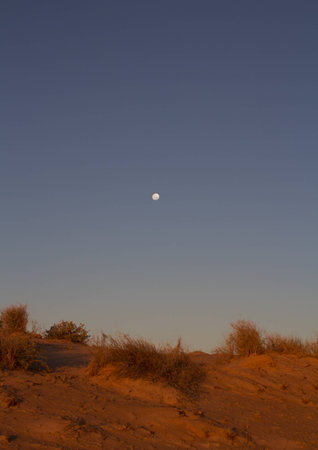 Moon high up the sky at daylight in the desert. In Bedourie, Queensland, Australiaの写真素材