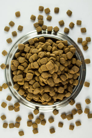 A Steel Bowl full of dogfood. Shot with an overhead camera rig.の写真素材