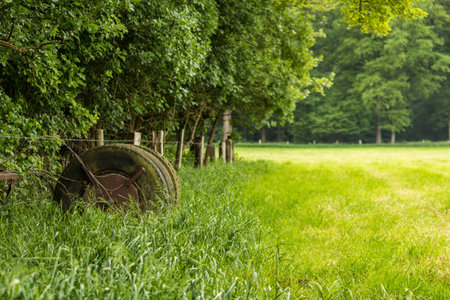 Some old abandoned Tires on a green field. Next to a beautiful Forest.の写真素材