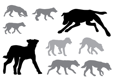 Dog. Puppy walking. Silhouette on a white backgroundのイラスト素材