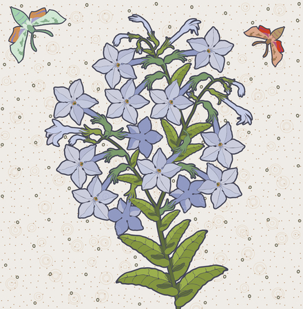 Bush with flowers scented tobacco and mothsのイラスト素材