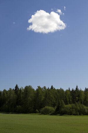lonely cloud over forest and fieldの写真素材