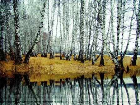 Spring floodsの写真素材